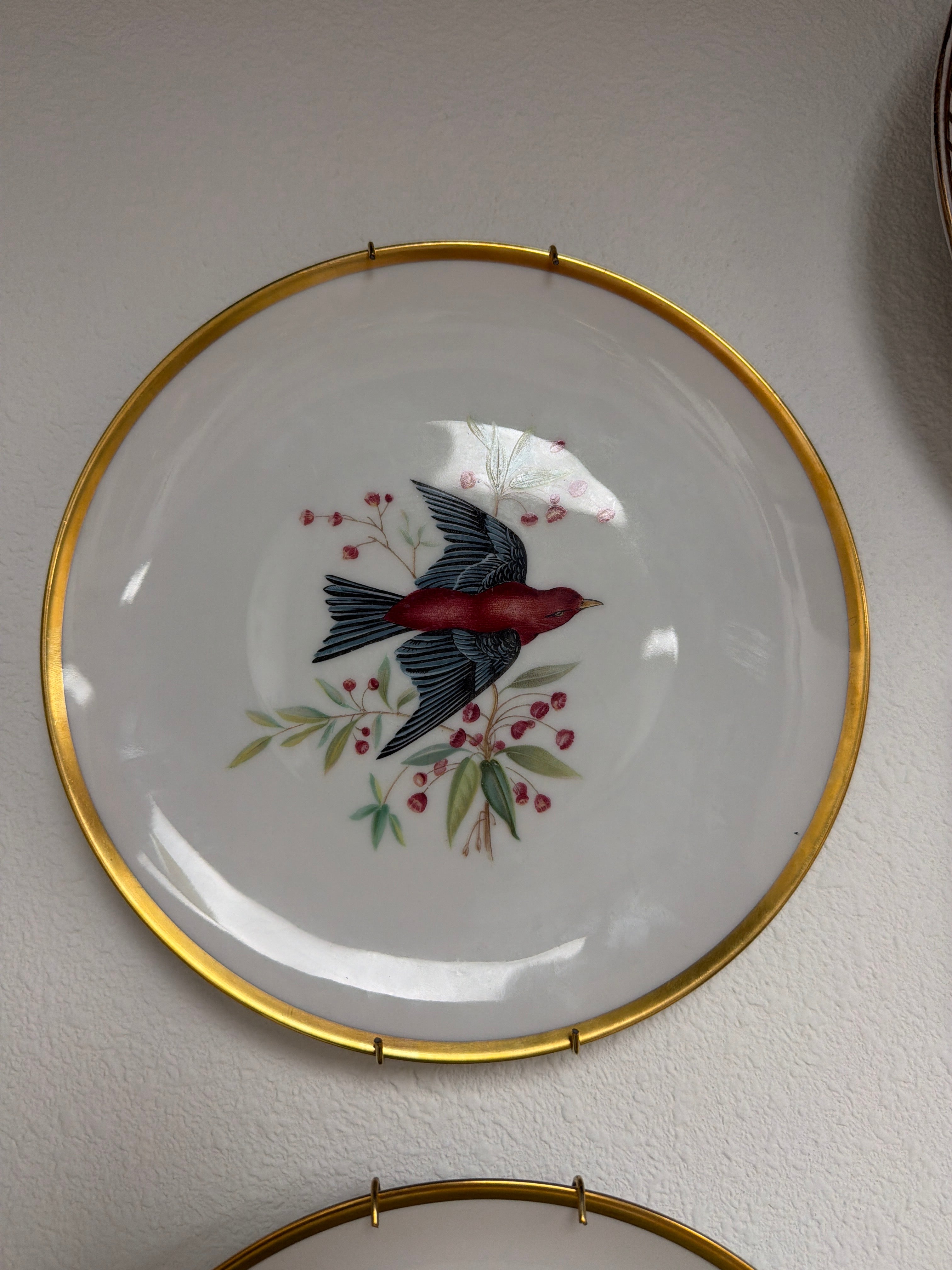 Hutschenreuther Audubon Scarlet Tanager