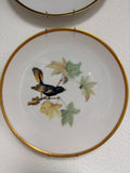 Lorenz Hutschenreuther Audubon Bird Redstart