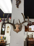Anthropologie "Would You Be a Deer?" Wall-mounted Antler Hook Rack
