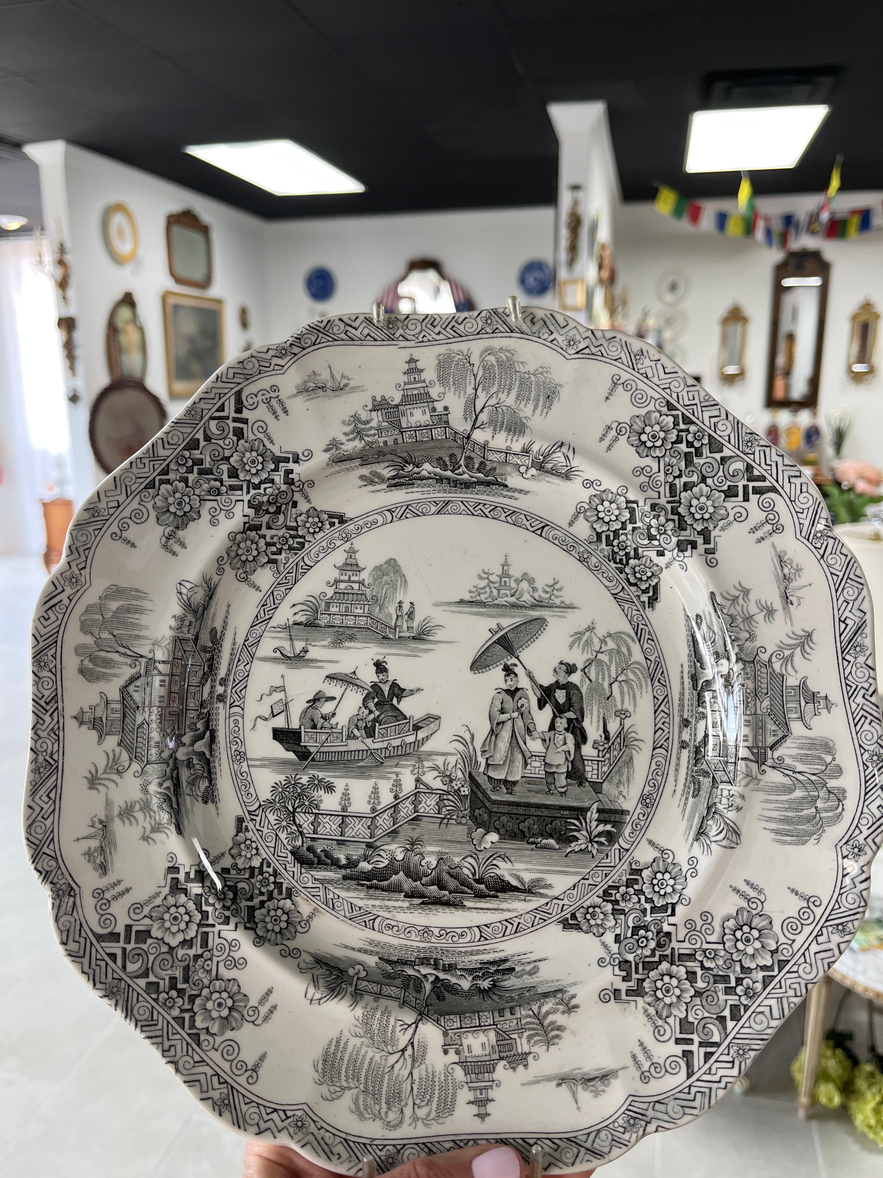 Transferware plate in the Napier pattern