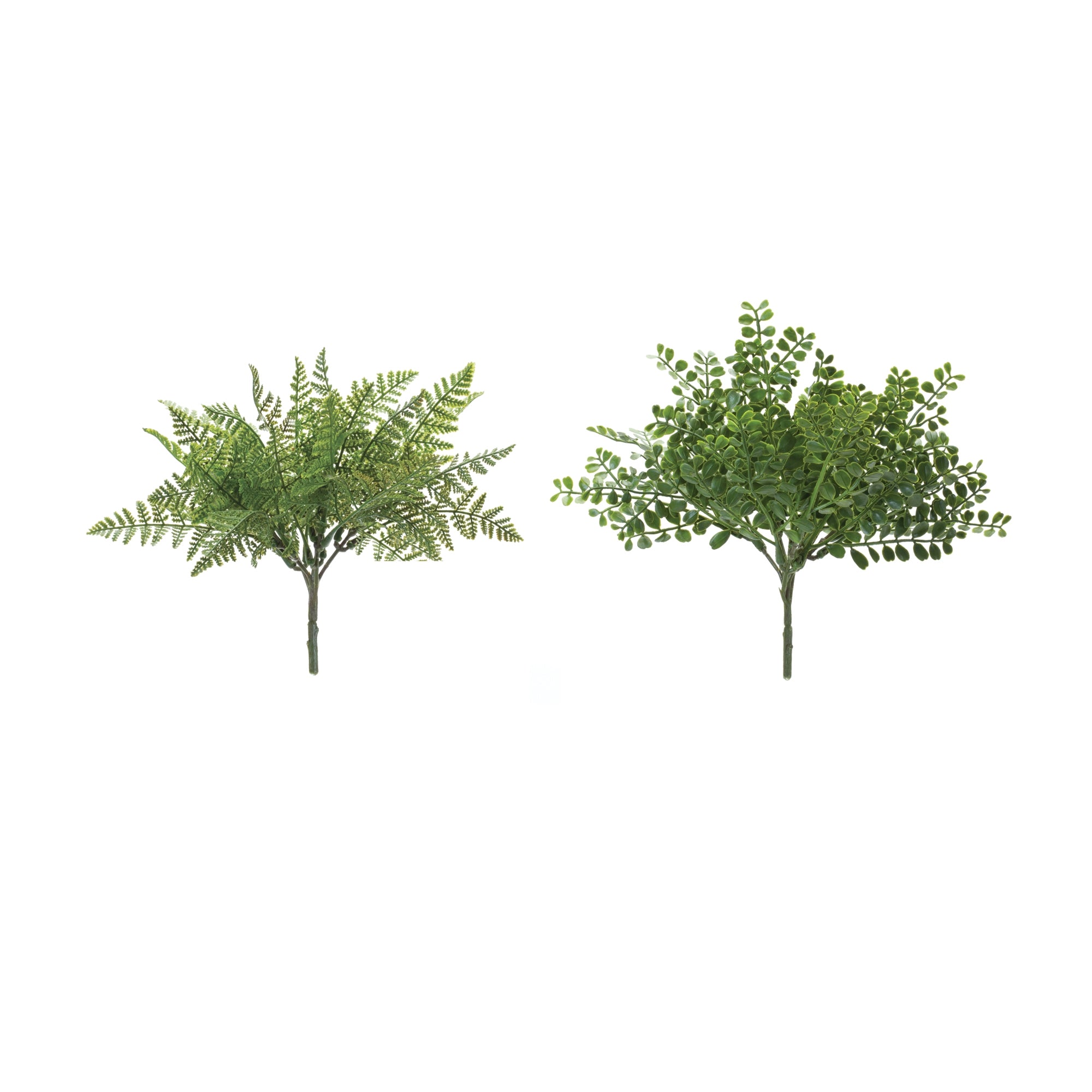 Fern Bush, 8.75” H