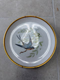 Hutschenreuther Audubon bird Salad Plate depicting a Barn Swallow