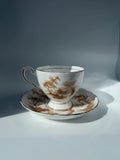 Tuscan Fine Bone China Tea Cup & Saucer Set