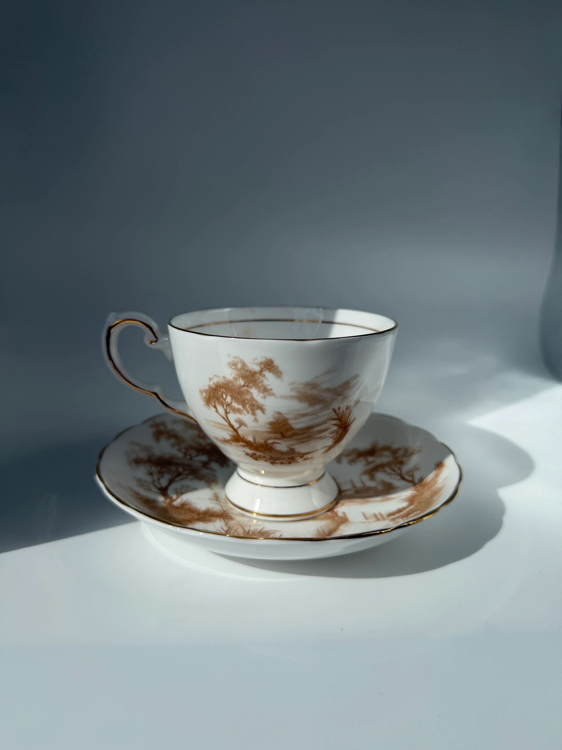 Tuscan Fine Bone China Tea Cup & Saucer Set