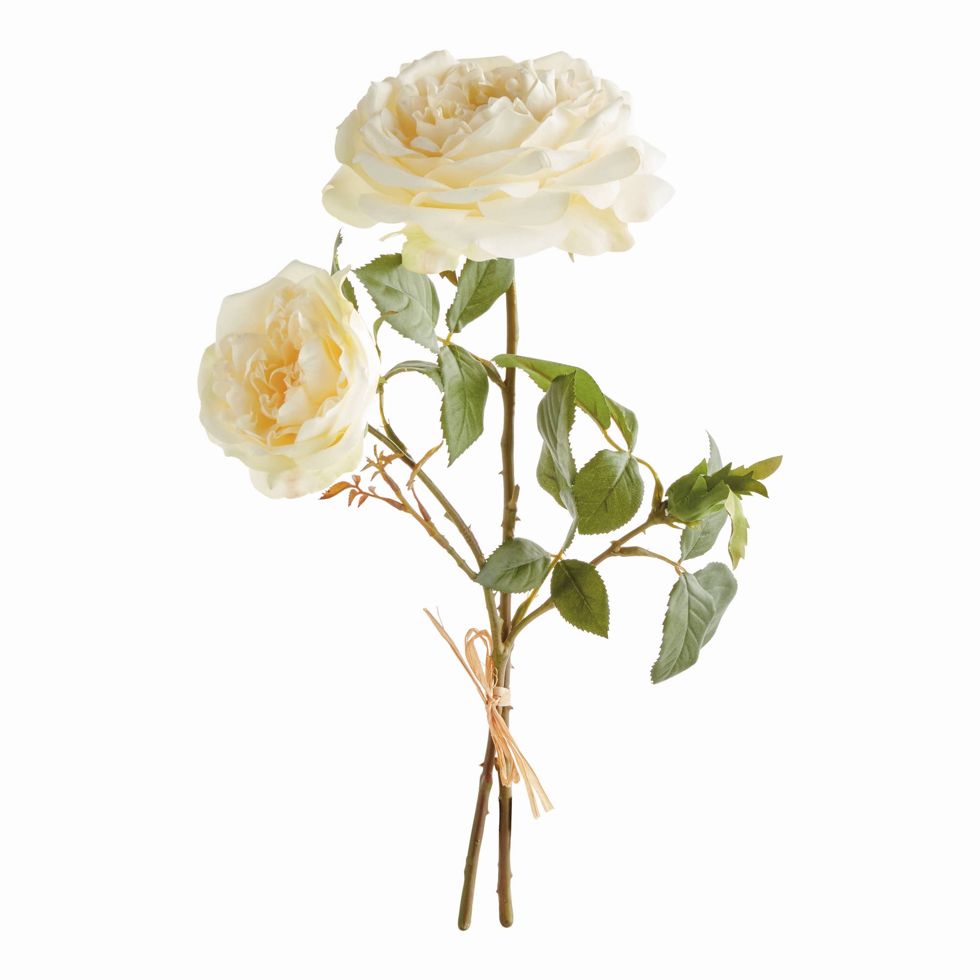 English Rose Faux Floral Stems, Cream