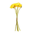 Mini Poppy Cuttings 11", Bundle Of 5
